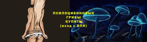 стафф Богородицк