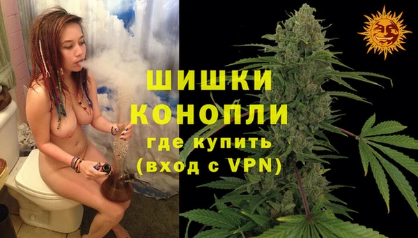 стафф Богородицк
