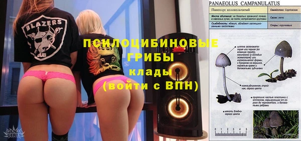 стафф Богородицк