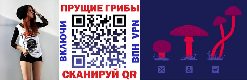 Псилоцибиновые грибы GOLDEN TEACHER  Мезень 
